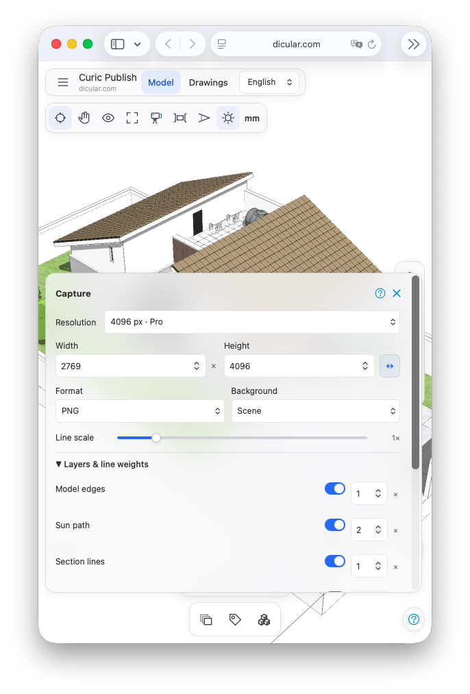 Capture settings for image resolution, background and line weights.